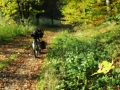 Bikepacking_tour8