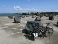 NSCR_2019_FR_BE_NL15