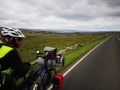 Orkney07